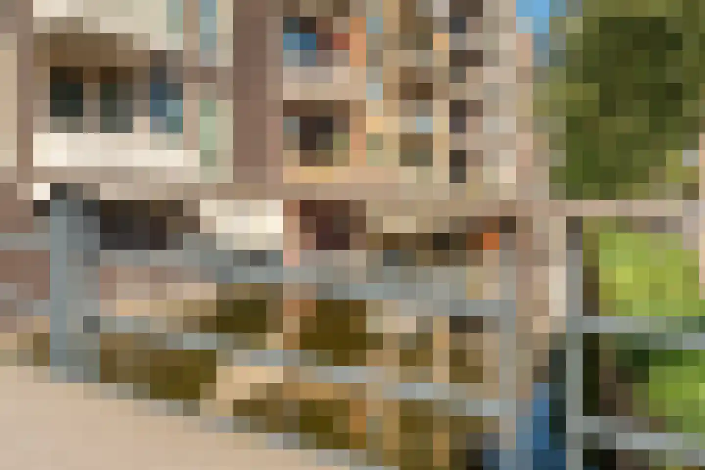 Carel Willinkgracht 923 Diemen thumbnail 40