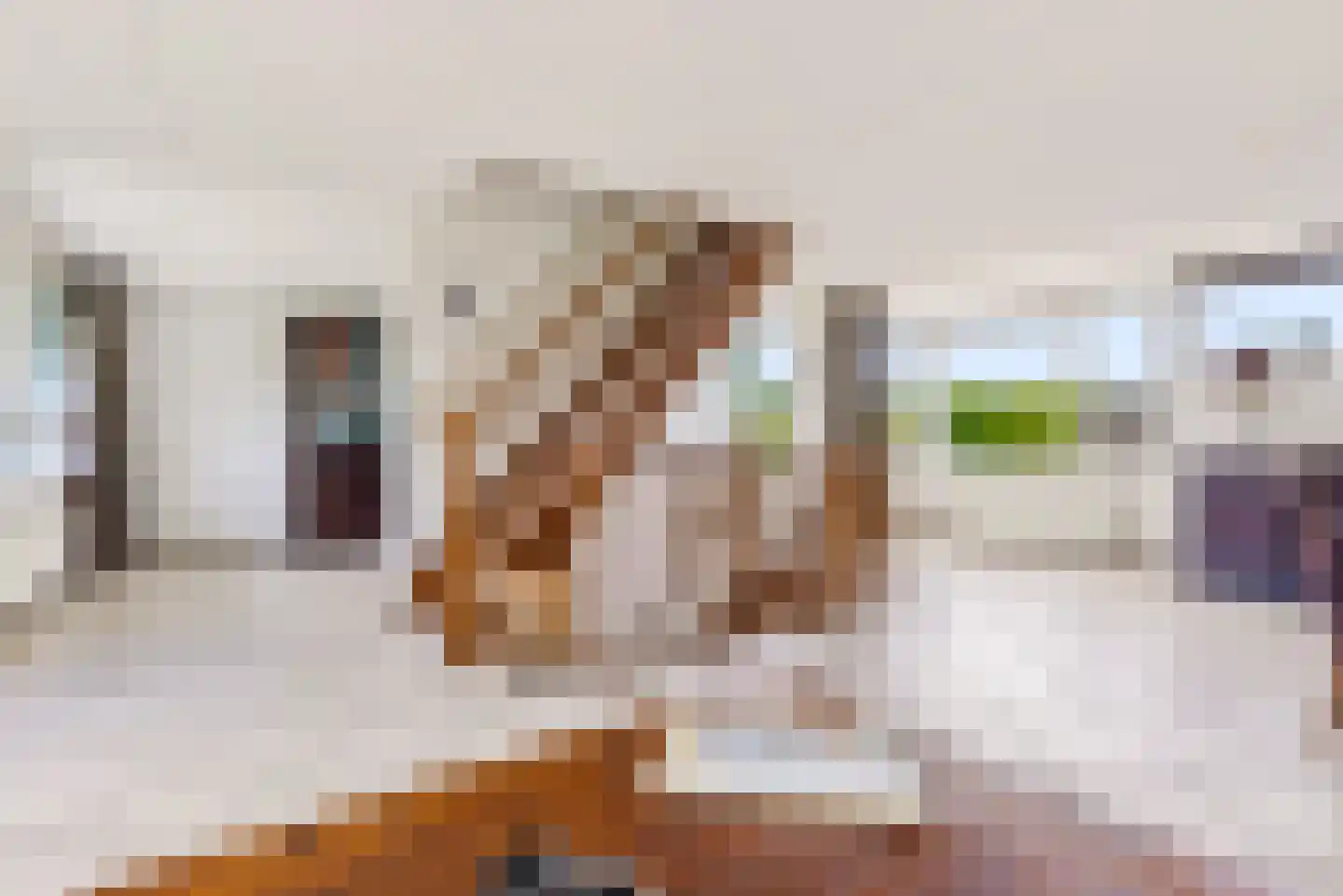 Carel Willinklaan 18 Almere thumbnail 19