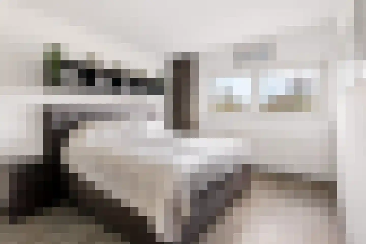 Carel Willinklaan 18 Almere thumbnail 39