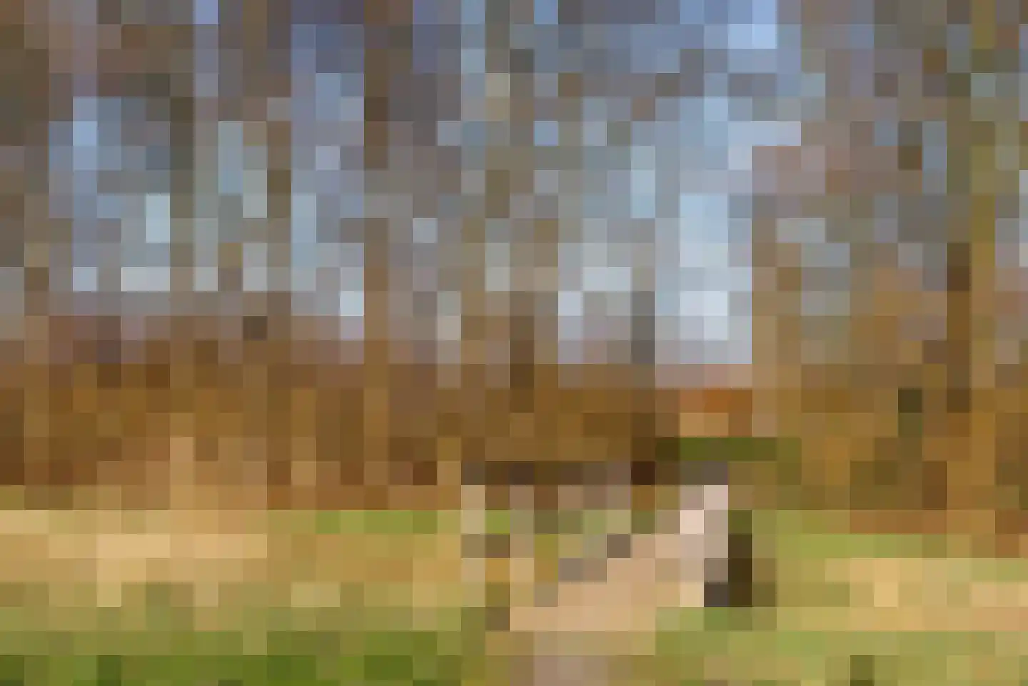 Carel Willinklaan 18 Almere thumbnail 69