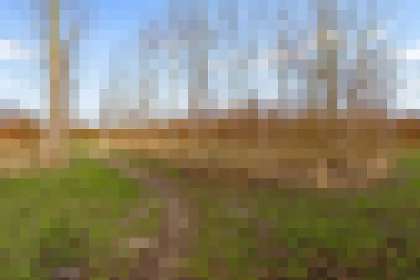 Carel Willinklaan 18 Almere thumbnail 70