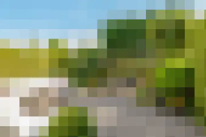 Carel Willinklaan 24 Almere thumbnail 38