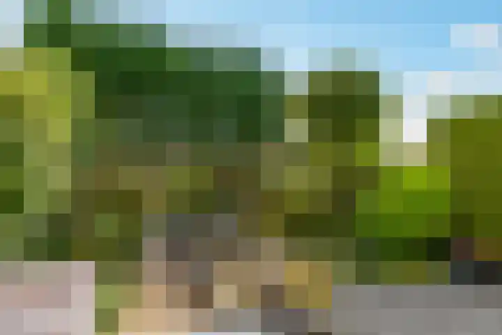 Carel Willinklaan 24 Almere thumbnail 42