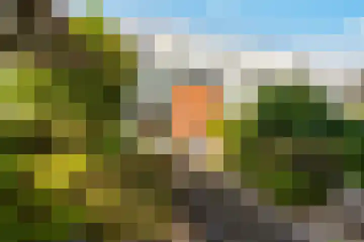Carel Willinklaan 24 Almere thumbnail 43