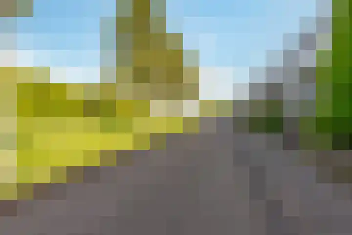 Carel Willinklaan 24 Almere thumbnail 47