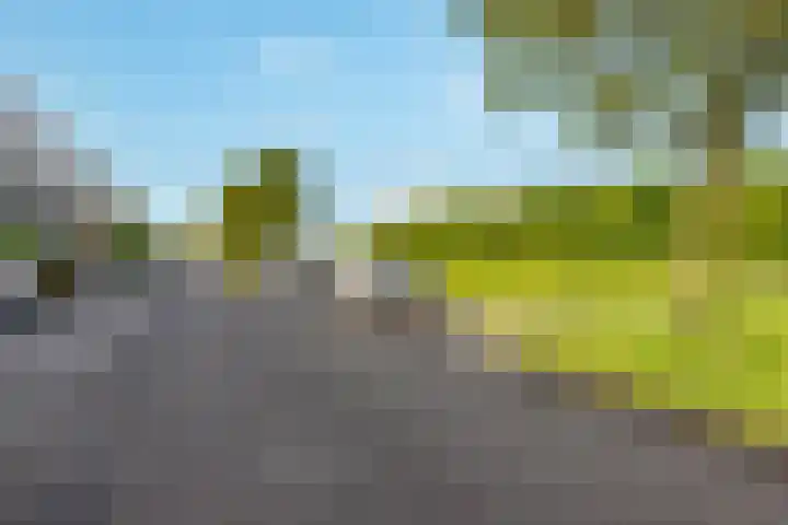 Carel Willinklaan 24 Almere thumbnail 48
