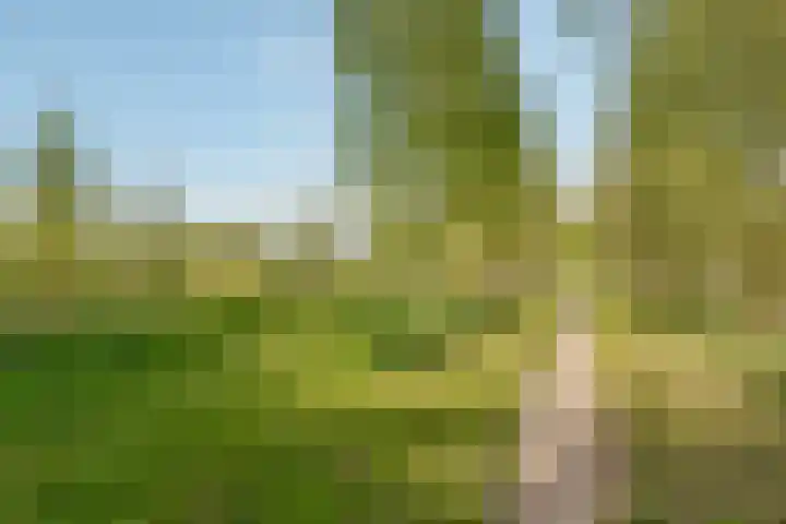 Carel Willinklaan 24 Almere thumbnail 49