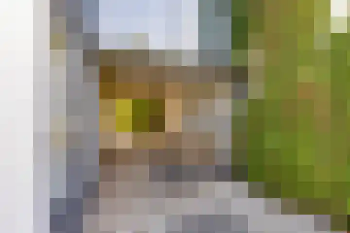 Carel Willinklaan 24 Almere thumbnail 6