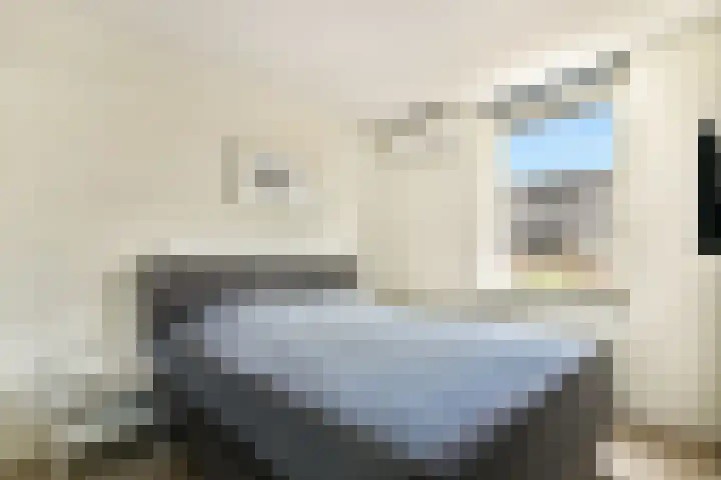 Carel Willinklaan 5 Rhoon thumbnail 19