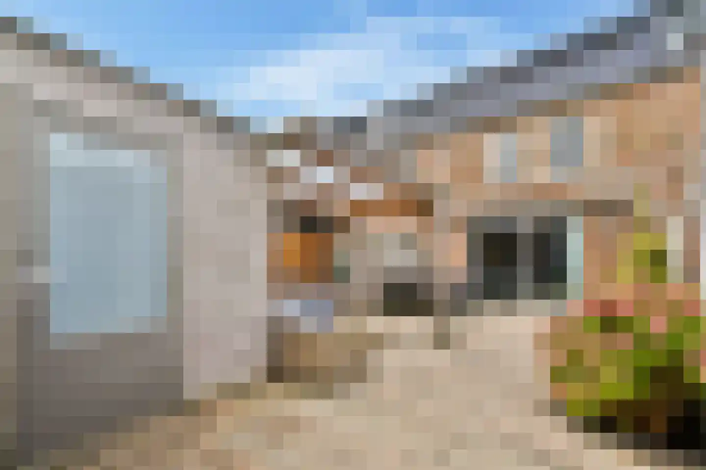 Carel Willinklaan 5 Rhoon thumbnail 6
