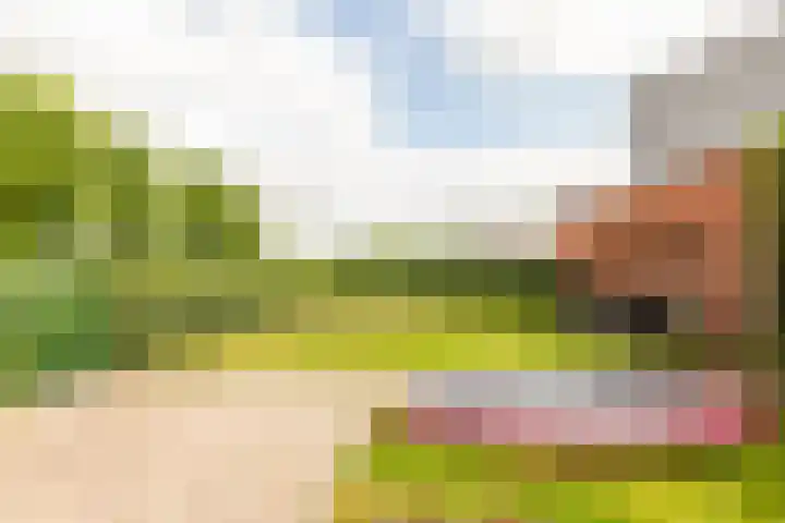 Carel Willinklaan 62 Almere thumbnail 32
