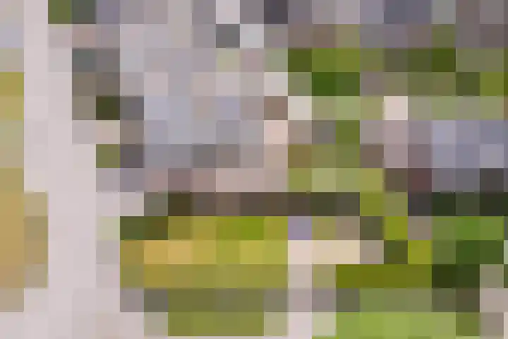 Carel Willinklaan 62 Almere thumbnail 33