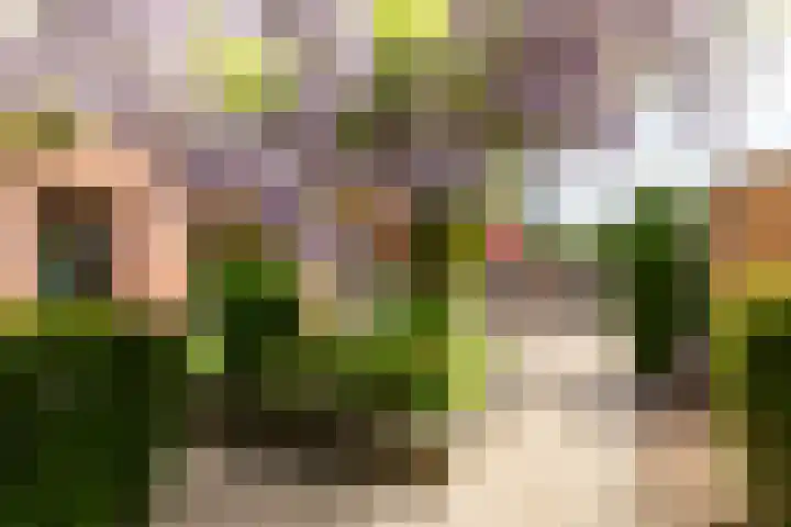 Carel Willinklaan 62 Almere thumbnail 36