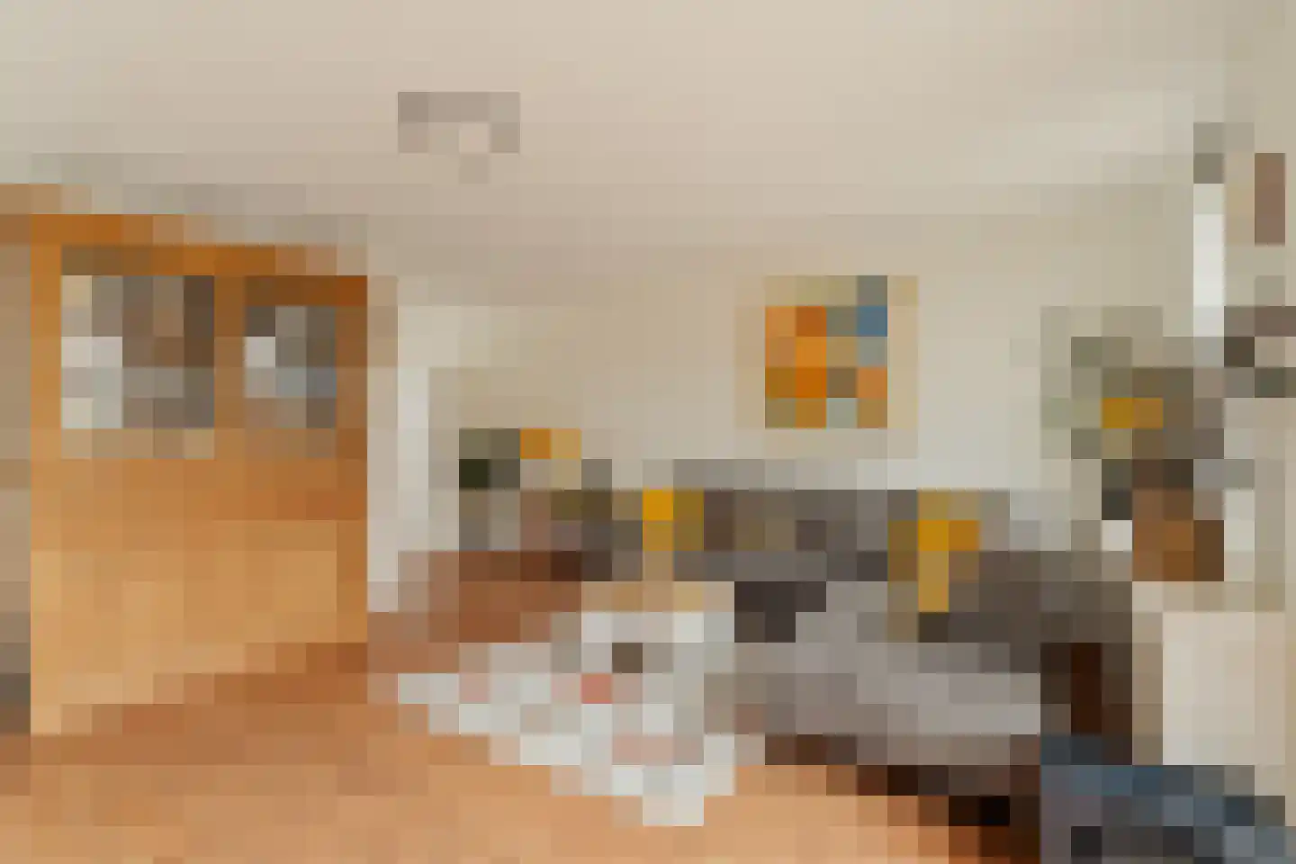 Carel Willinksingel 284 Rotterdam thumbnail 12