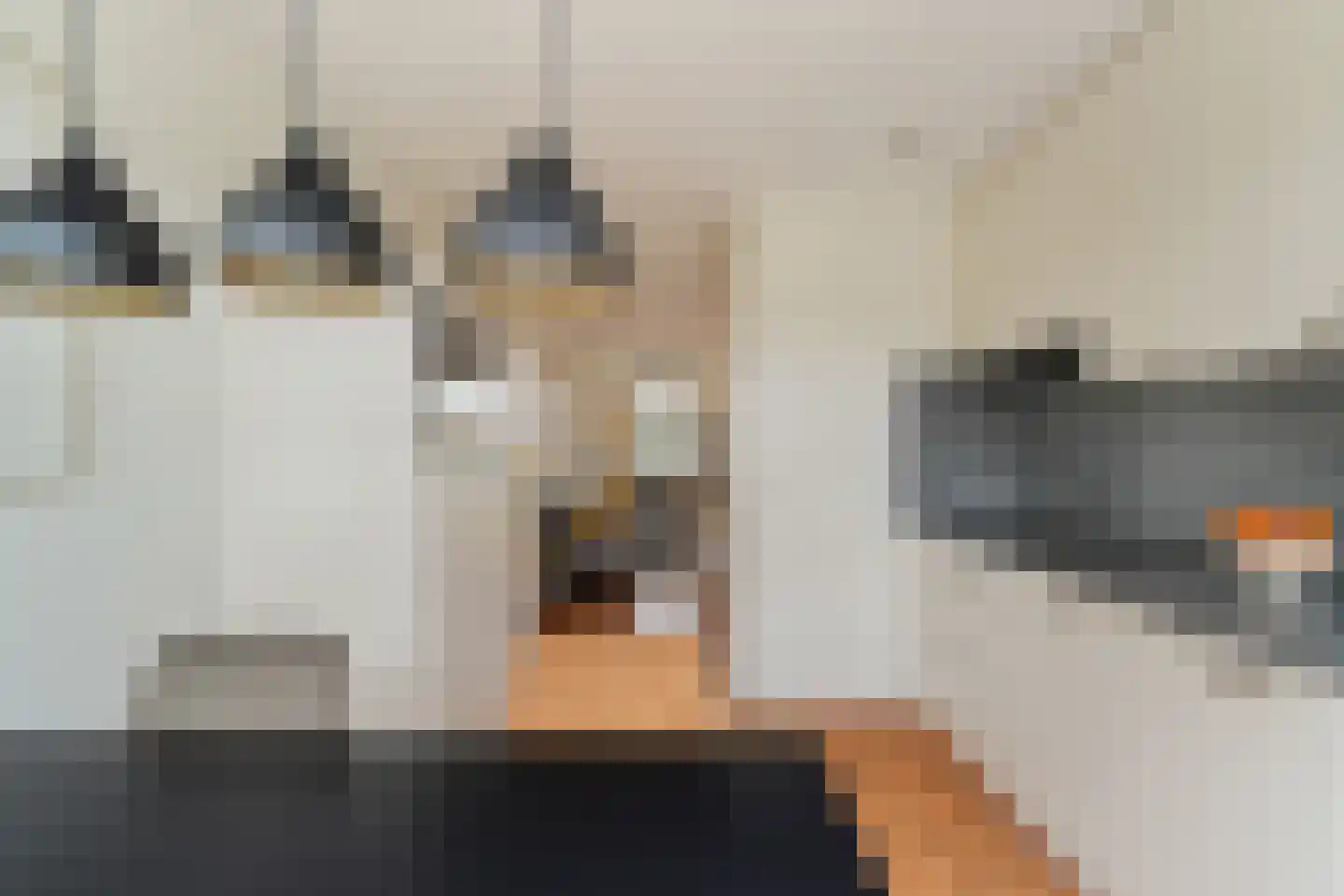 Carel Willinksingel 284 Rotterdam thumbnail 16