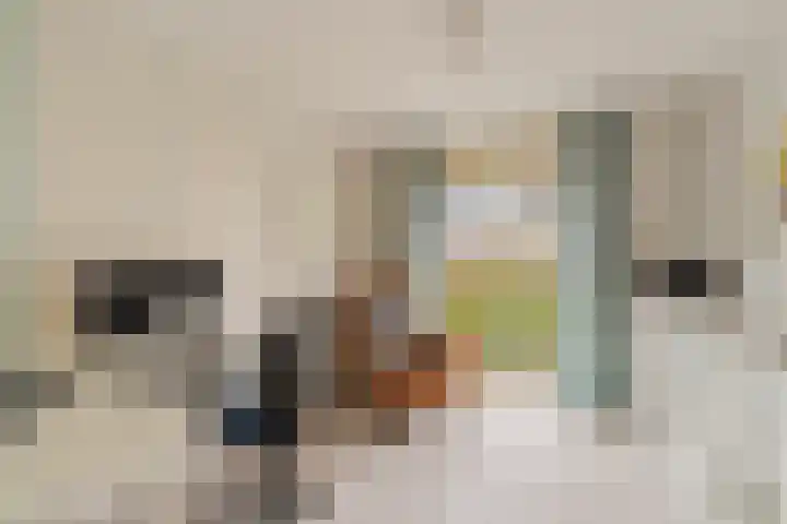 Carel Willinksingel 284 Rotterdam thumbnail 23