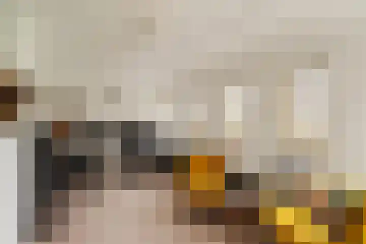 Carel Willinksingel 284 Rotterdam thumbnail 28