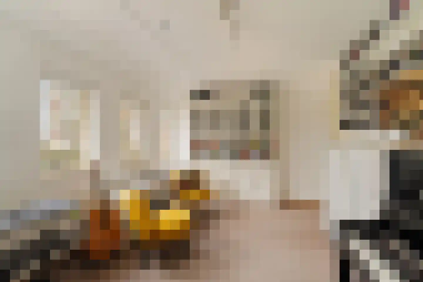 Carel Willinksingel 284 Rotterdam thumbnail 29