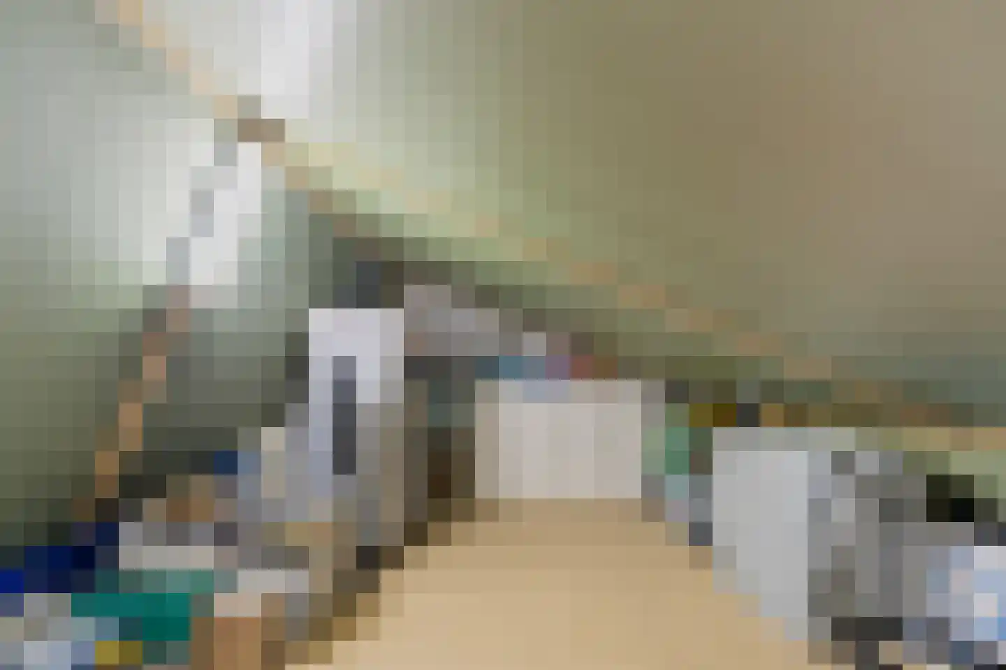 Carel Willinksingel 284 Rotterdam thumbnail 32
