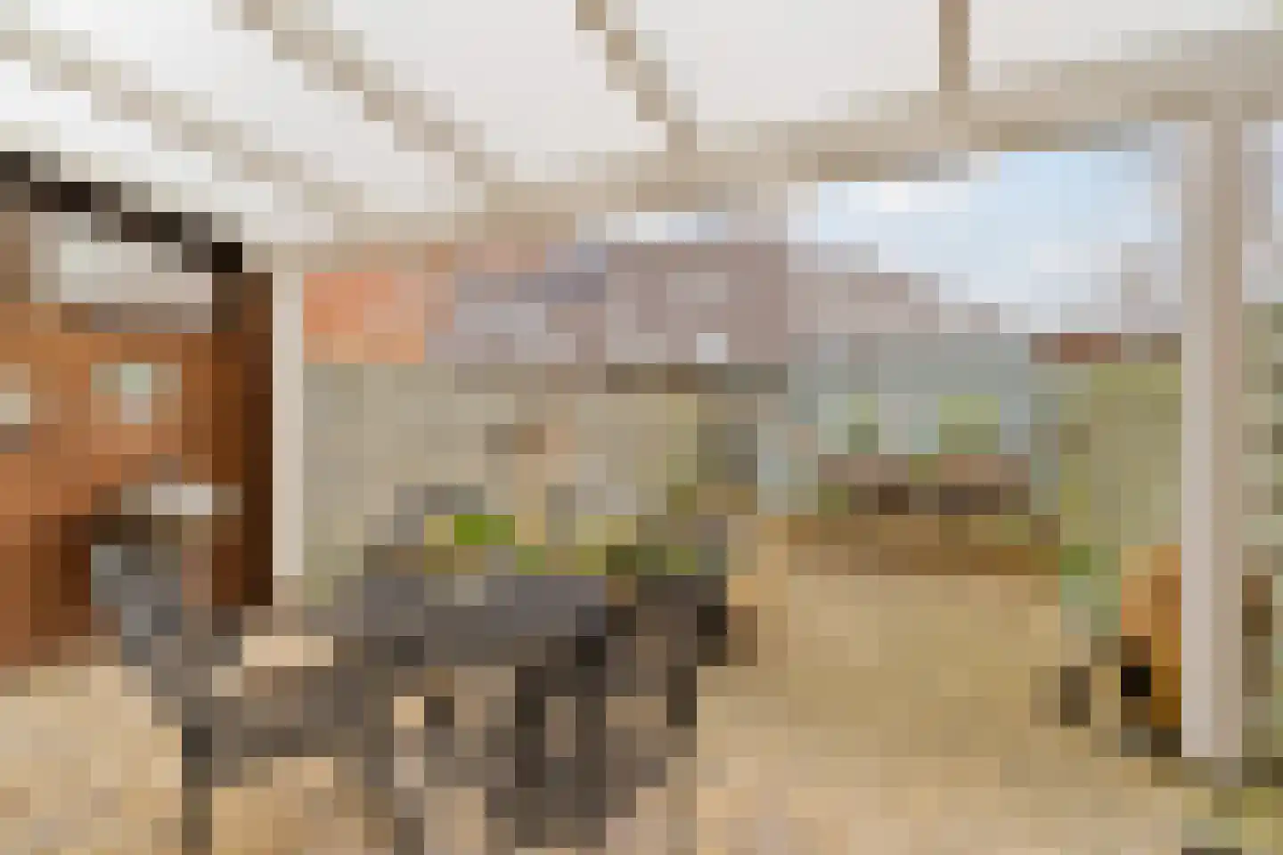 Carel Willinksingel 284 Rotterdam thumbnail 33