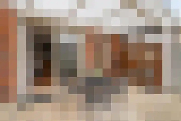 Carel Willinksingel 284 Rotterdam thumbnail 34