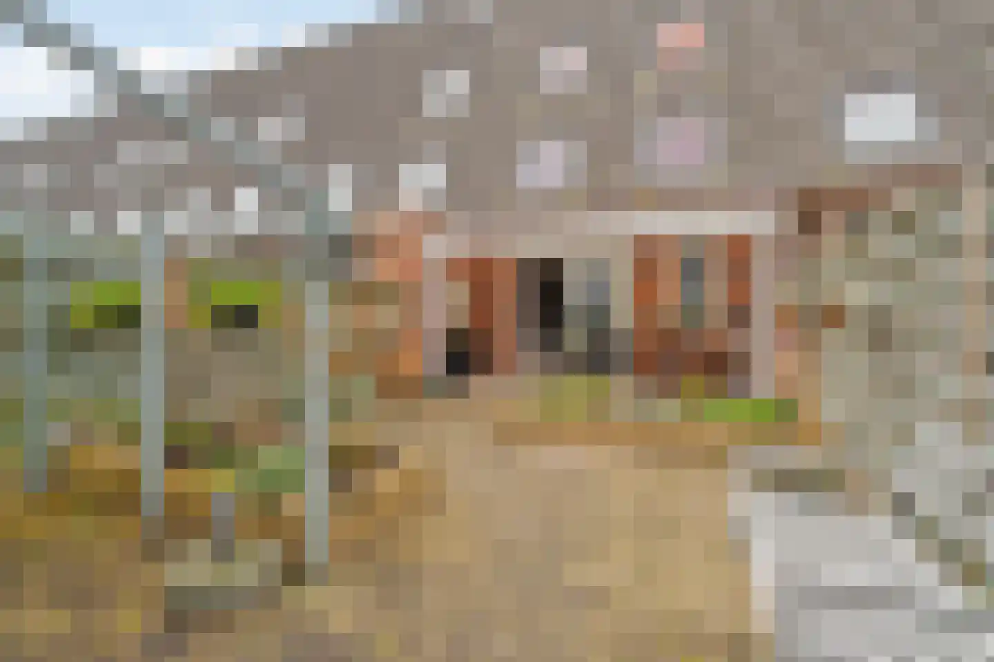 Carel Willinksingel 284 Rotterdam thumbnail 35