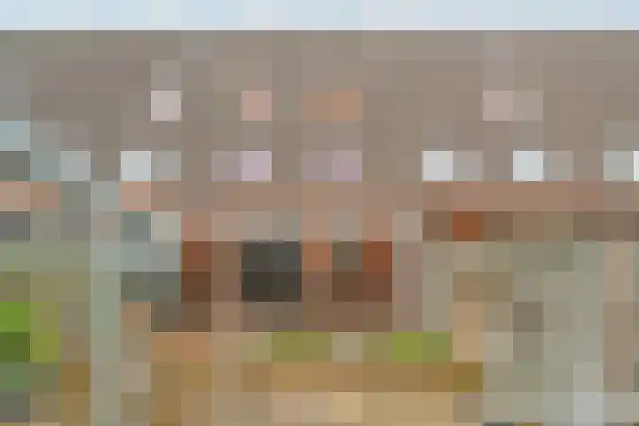 Carel Willinksingel 284 Rotterdam thumbnail 37
