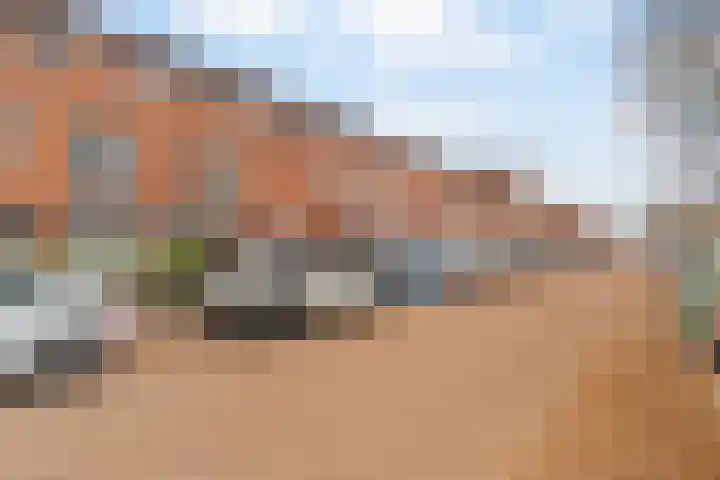 Carel Willinksingel 284 Rotterdam thumbnail 39