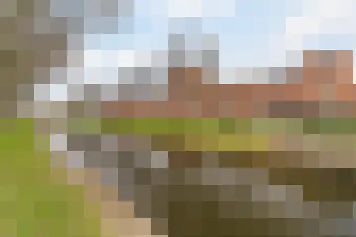 Carel Willinksingel 284 Rotterdam thumbnail 6