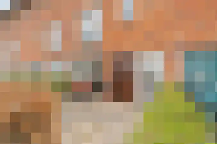 Carel Willinksingel 284 Rotterdam thumbnail 7