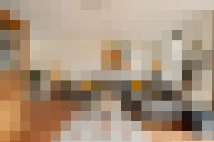 Carel Willinksingel 284 Rotterdam thumbnail 9