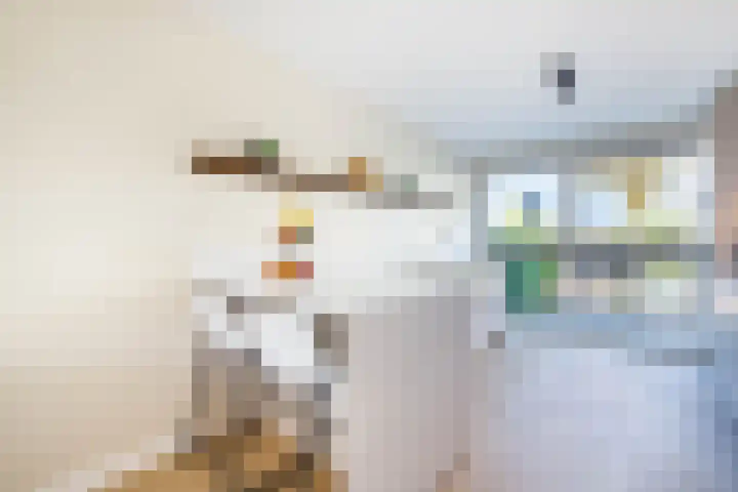Carel Willinksingel 294 Rotterdam thumbnail 13