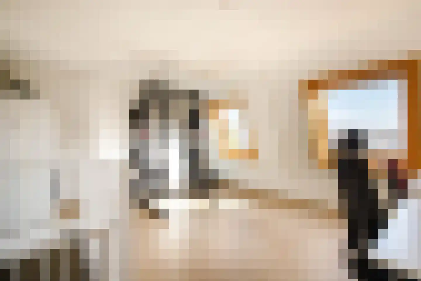 Carel Willinksingel 294 Rotterdam thumbnail 33