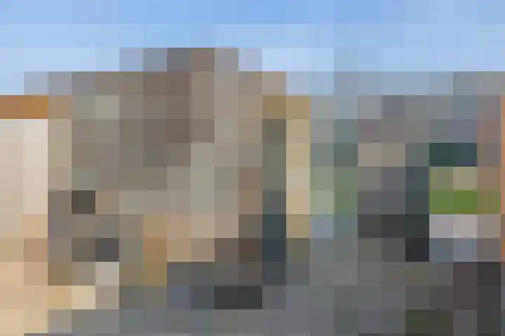 Carel Willinksingel 324 Rotterdam thumbnail 24