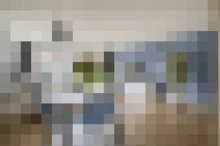 Carel Willinksingel 326 Rotterdam thumbnail 13