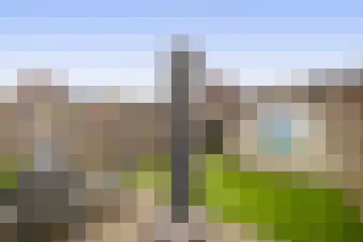 Carel Willinksingel 326 Rotterdam thumbnail 31