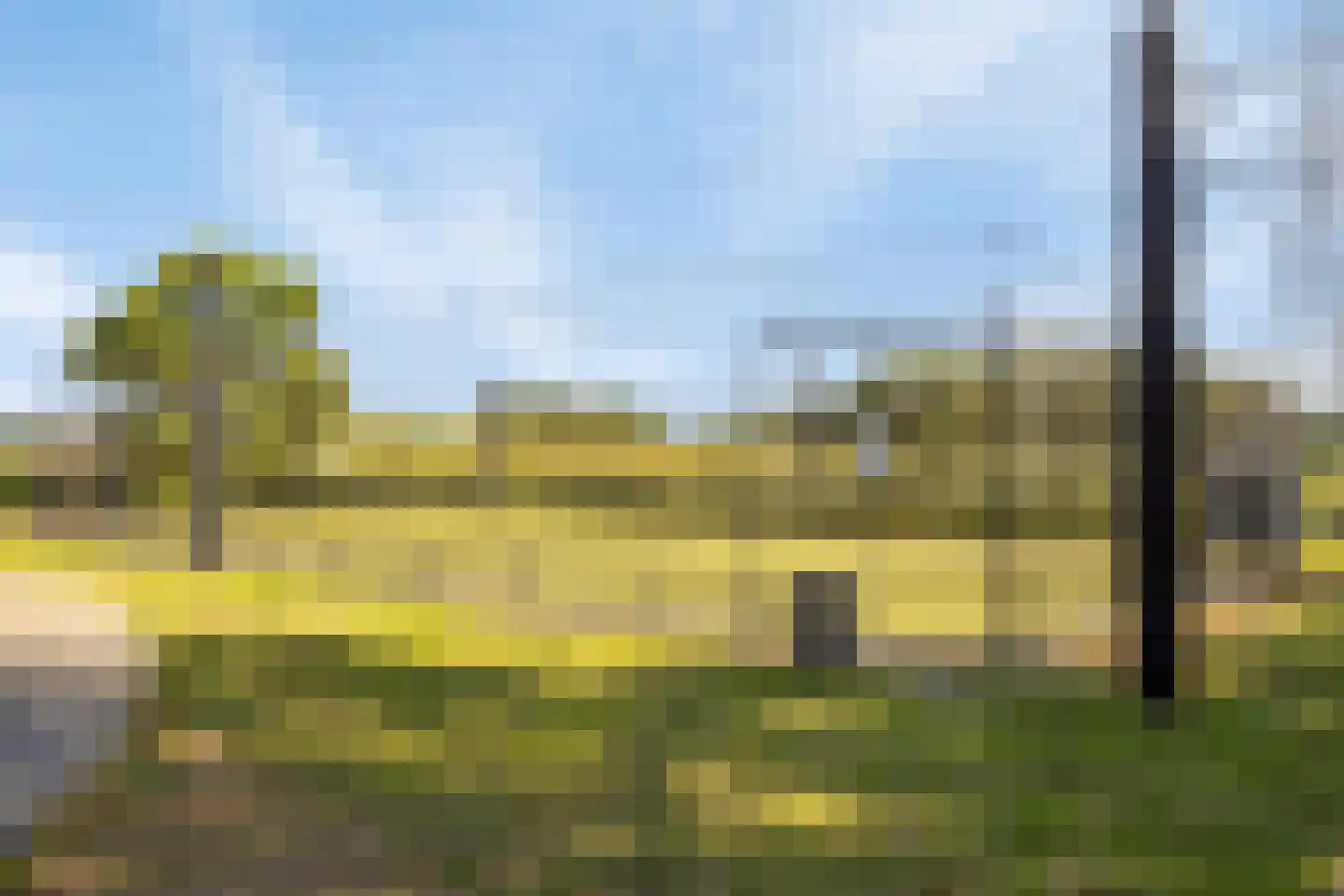 Carel Willinksingel 340 Rotterdam thumbnail 31