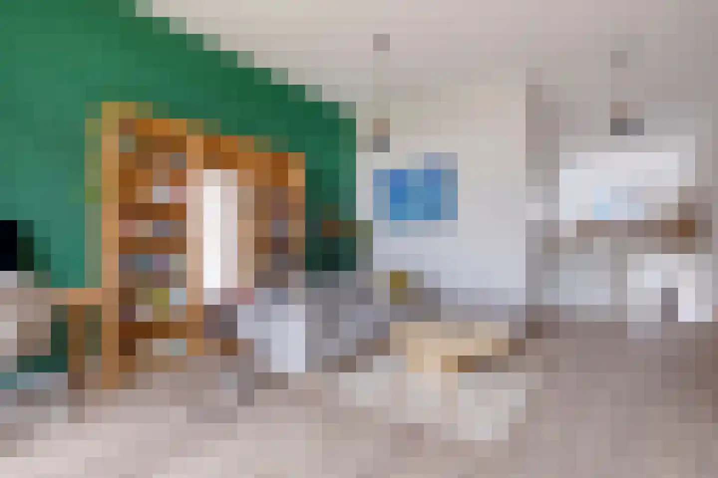 Carel Willinkstraat 10 Utrecht thumbnail 14