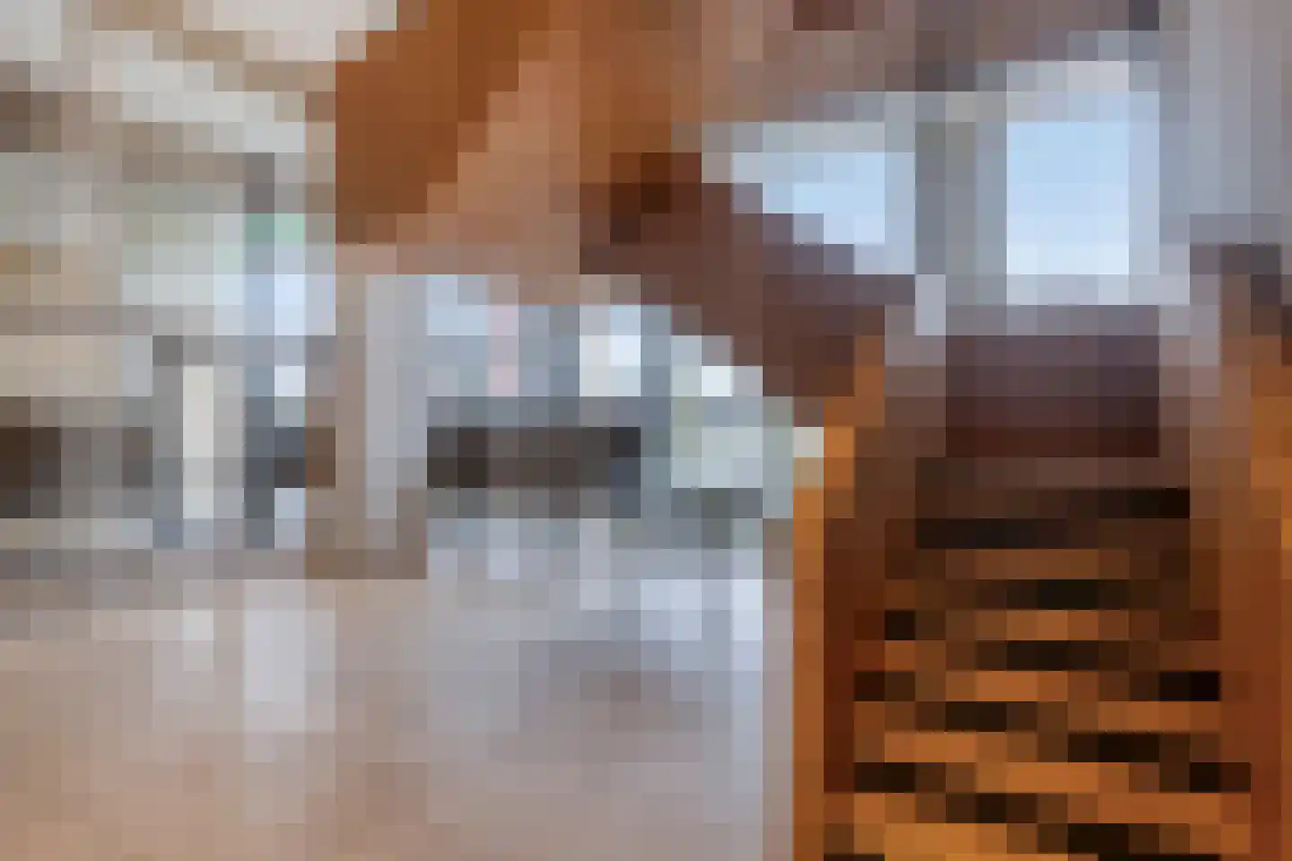 Carel Willinkstraat 10 Utrecht thumbnail 32
