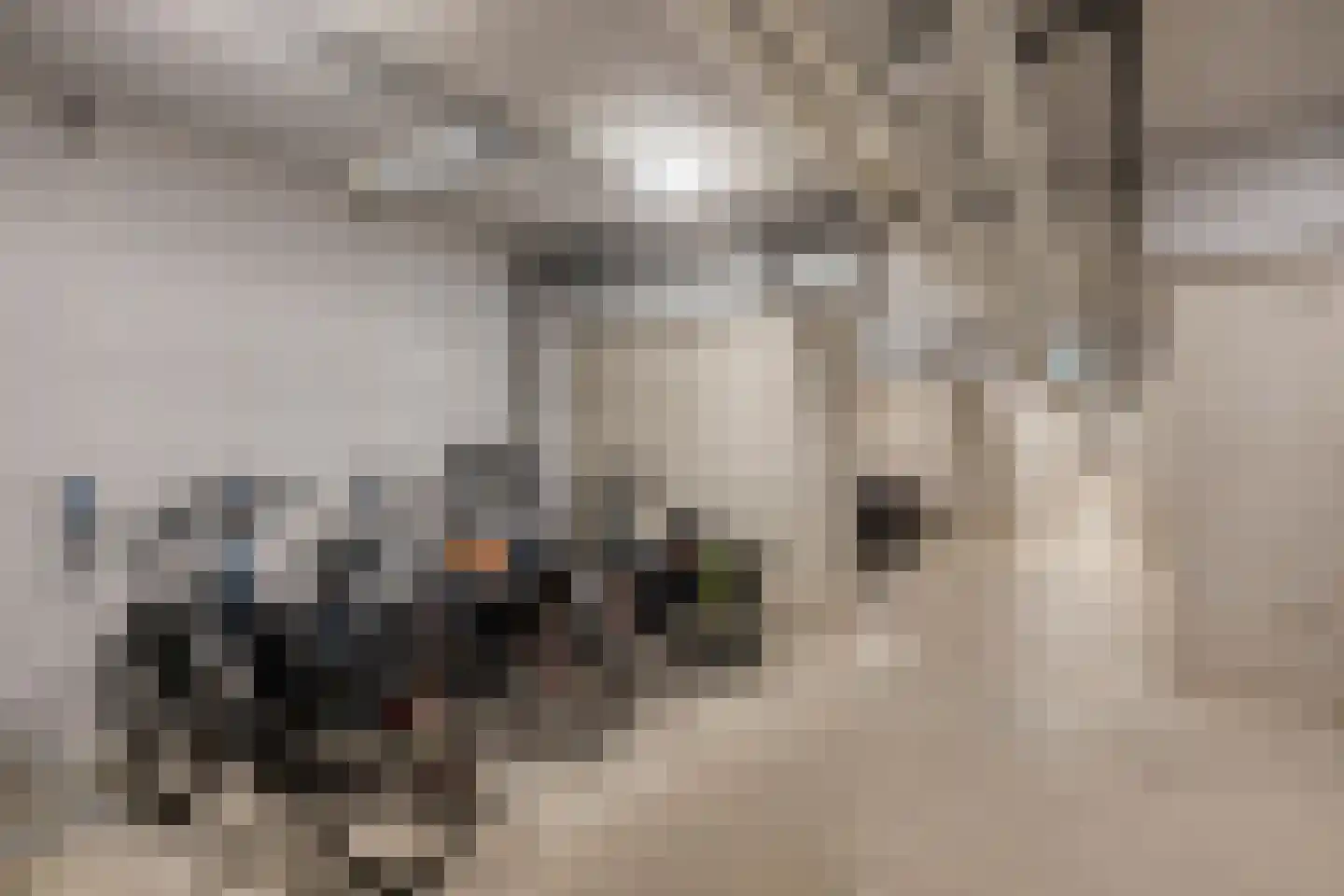 Carel Willinkstraat 10 Utrecht thumbnail 33