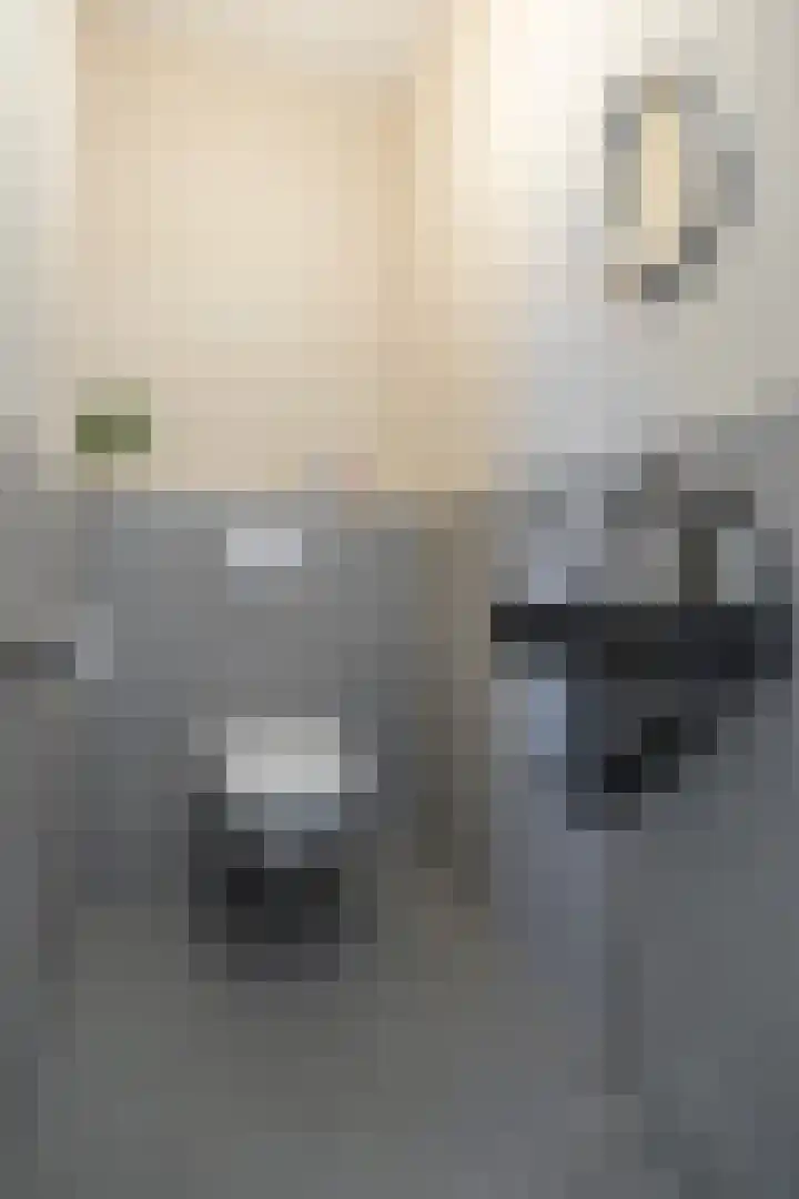 Carel Willinkstraat 104 Utrecht thumbnail 43