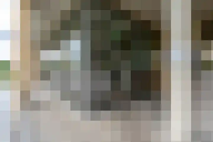 Carel Willinkstraat 104 Utrecht thumbnail 6