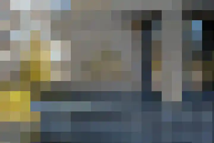 Carel Willinkstraat 12 Utrecht thumbnail 10