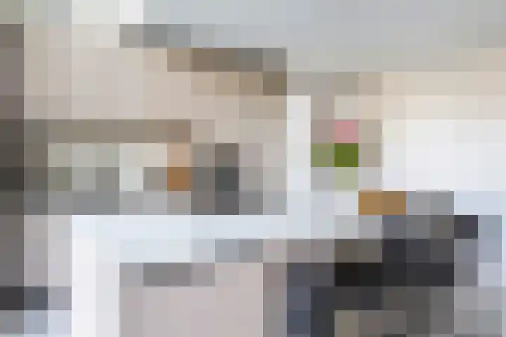 Carel Willinkstraat 12 Utrecht thumbnail 15