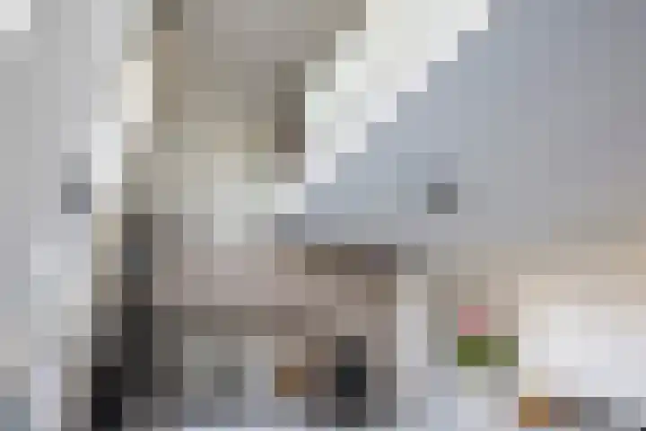 Carel Willinkstraat 12 Utrecht thumbnail 16
