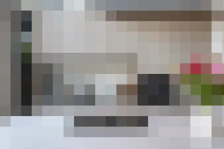 Carel Willinkstraat 12 Utrecht thumbnail 17