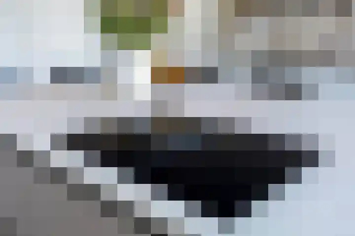 Carel Willinkstraat 12 Utrecht thumbnail 19