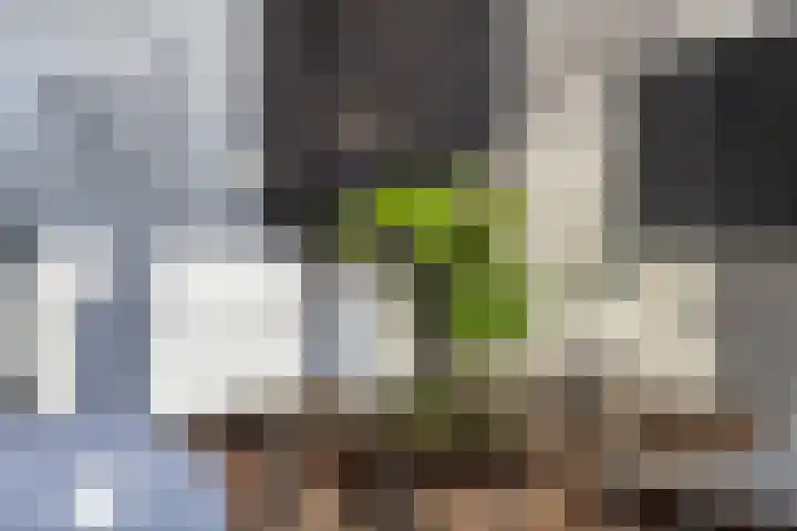 Carel Willinkstraat 12 Utrecht thumbnail 29