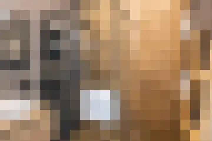 Carel Willinkstraat 12 Utrecht thumbnail 38