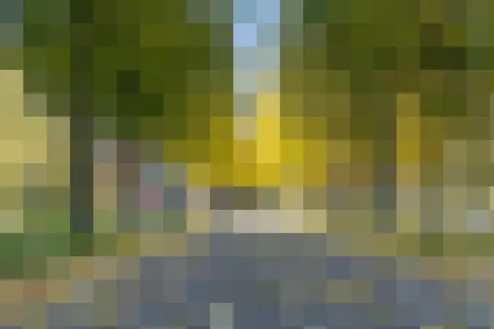 Carel Willinkstraat 12 Utrecht thumbnail 44